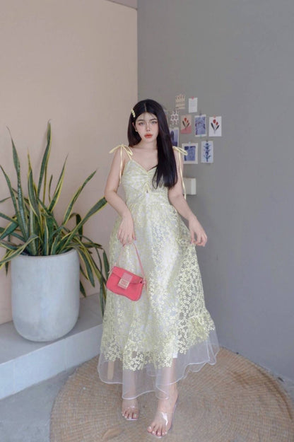 Daisy Patterned Mesh Embroidered Maxi