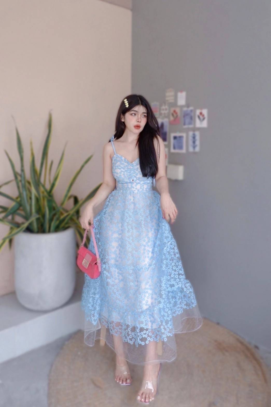 Daisy Patterned Mesh Embroidered Maxi